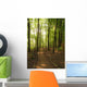 Path to Woods Wall Decal