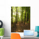 Path to Woods Wall Decal