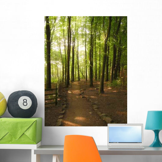Path to Woods Wall Decal