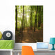 Path to Woods Wall Decal