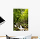 Bosco Con Piccola Cascata Wall Decal