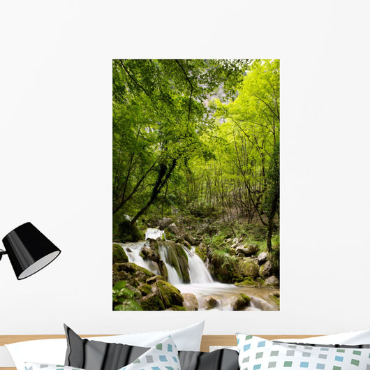 Bosco Con Piccola Cascata Wall Decal