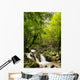 Bosco Con Piccola Cascata Wall Decal