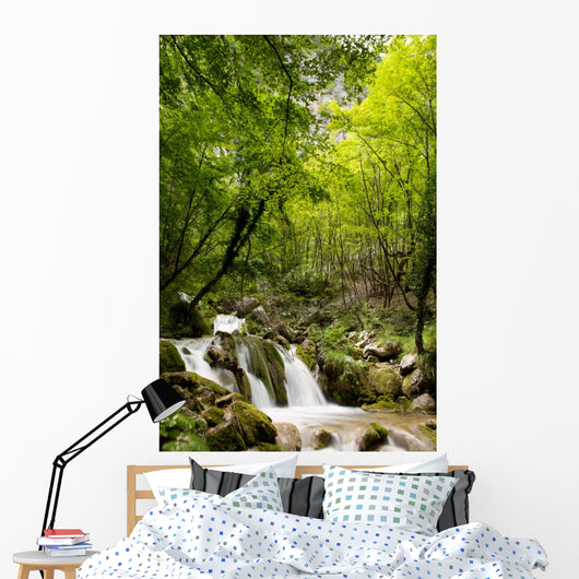 Bosco Con Piccola Cascata Wall Decal