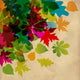 Autumn Falling Leaves Transparent Wall Decal