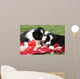 Adorable Border Collie Puppies Wall Decal Design 1