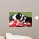 Adorable Border Collie Puppies Wall Decal Design 1