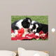 Adorable Border Collie Puppies Wall Decal Design 1