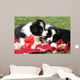 Adorable Border Collie Puppies Wall Decal Design 1