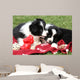 Adorable Border Collie Puppies Wall Decal Design 1
