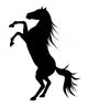 Rearing up Graceful Black Wall Decal