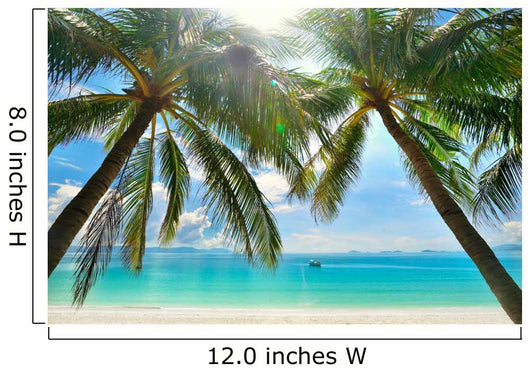 Palm Trees Hanging over Wall Decal