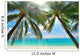 Palm Trees Hanging over Wall Decal
