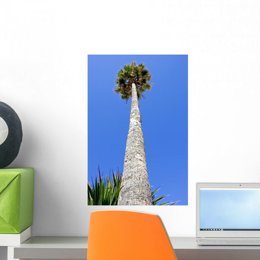 Huge Tall Skinny Palm Wall Decal