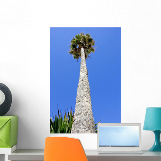 Huge Tall Skinny Palm Wall Decal