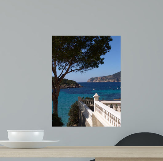 San Elm Dragonera Wall Decal