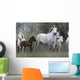 Camargue White Horse Wall Decal