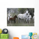 Camargue White Horse Wall Decal