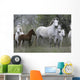 Camargue White Horse Wall Decal