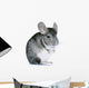 Chinchilla Wall Decal