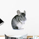 Chinchilla Wall Decal