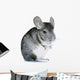 Chinchilla Wall Decal