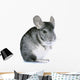 Chinchilla Wall Decal