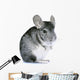 Chinchilla Wall Decal