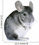 Chinchilla Wall Decal