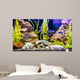 Tropical Freshwater Aquarium with Wall Decal