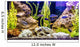 Tropical Freshwater Aquarium with Wall Decal