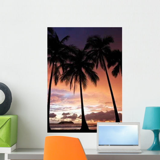 Sunset Manuel Antonio Beach Wall Decal