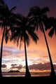 Sunset Manuel Antonio Beach Wall Decal