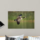 Canada Goose Branta Canadensis Wall Decal