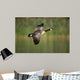 Canada Goose Branta Canadensis Wall Decal