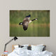 Canada Goose Branta Canadensis Wall Decal