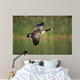 Canada Goose Branta Canadensis Wall Decal