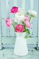 White and Pink Ranunculus Wall Decal