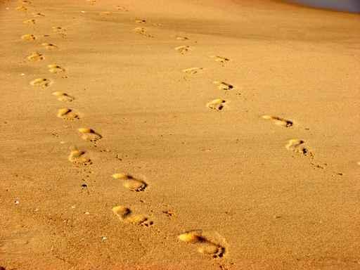 Footprints Sand Wall Decal