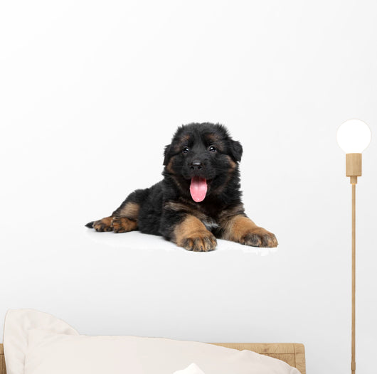 German Shepherd Puppy Wall Decal Design 2