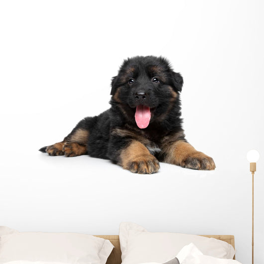 German Shepherd Puppy Wall Decal Design 2