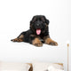 German Shepherd Puppy Wall Decal Design 2