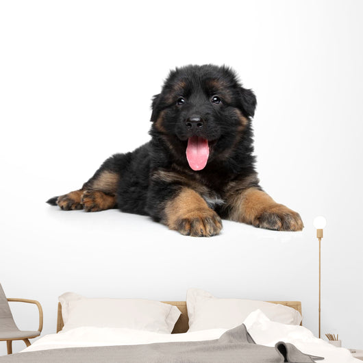 German Shepherd Puppy Wall Decal Design 2