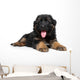 German Shepherd Puppy Wall Decal Design 2