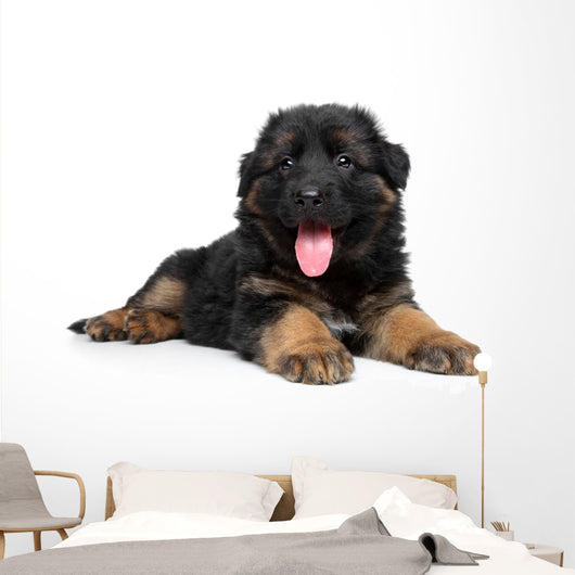 German Shepherd Puppy Wall Decal Design 2