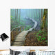 Stairway Forest Disappearing Strong Wall Decal