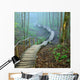 Stairway Forest Disappearing Strong Wall Decal