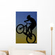 Extreme Bike Rider Wall Decal