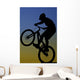 Extreme Bike Rider Wall Decal