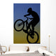 Extreme Bike Rider Wall Decal
